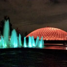 Quantum Lighting - Bloedel Conservatory