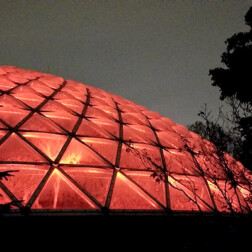 Quantum Lighting - Bloedel Conservatory