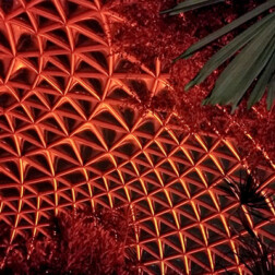 Quantum Lighting - Bloedel Conservatory