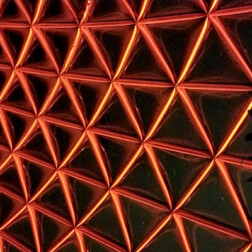 Quantum Lighting - Bloedel Conservatory